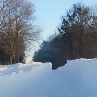 Ostrzeżenie: Śnieżyca na południu