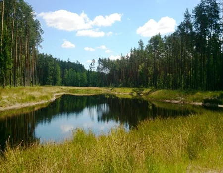 Rezerwat Obary